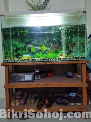 Aquarium For Sale